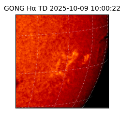 gong - 2025-10-09T10:00:22
