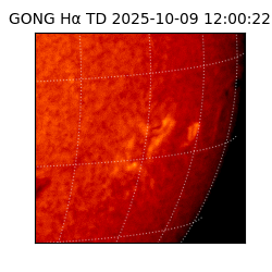 gong - 2025-10-09T12:00:22