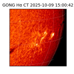 gong - 2025-10-09T15:00:42