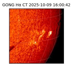 gong - 2025-10-09T16:00:42