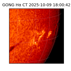 gong - 2025-10-09T18:00:42