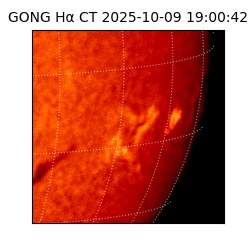 gong - 2025-10-09T19:00:42