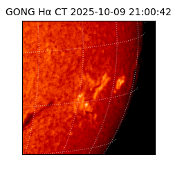 gong - 2025-10-09T21:00:42