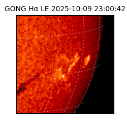 gong - 2025-10-09T23:00:42