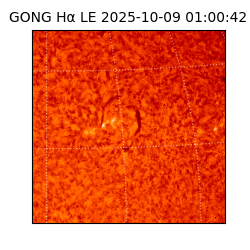 gong - 2025-10-09T01:00:42