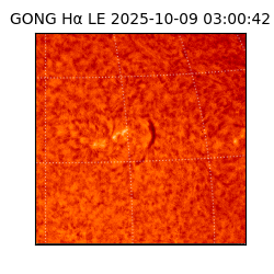 gong - 2025-10-09T03:00:42