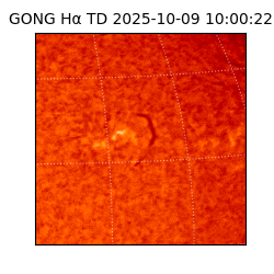 gong - 2025-10-09T10:00:22