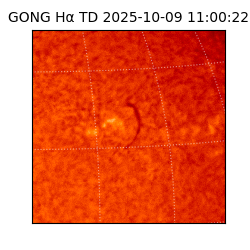 gong - 2025-10-09T11:00:22