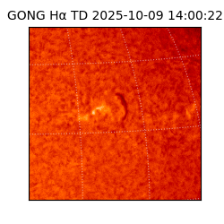 gong - 2025-10-09T14:00:22