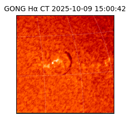 gong - 2025-10-09T15:00:42