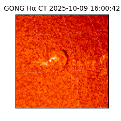 gong - 2025-10-09T16:00:42