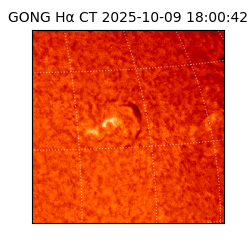 gong - 2025-10-09T18:00:42