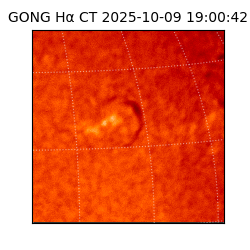 gong - 2025-10-09T19:00:42