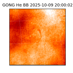 gong - 2025-10-09T20:00:02