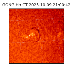 gong - 2025-10-09T21:00:42