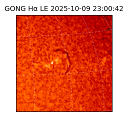 gong - 2025-10-09T23:00:42