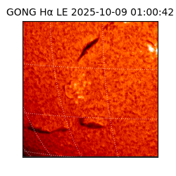 gong - 2025-10-09T01:00:42