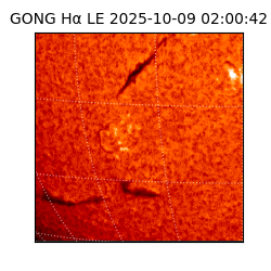 gong - 2025-10-09T02:00:42