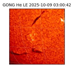 gong - 2025-10-09T03:00:42