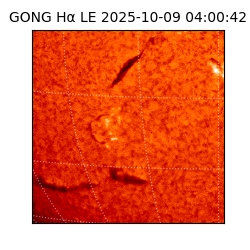 gong - 2025-10-09T04:00:42