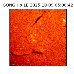 gong - 2025-10-09T05:00:42