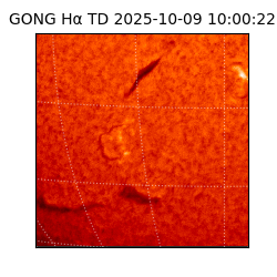 gong - 2025-10-09T10:00:22