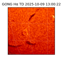 gong - 2025-10-09T13:00:22