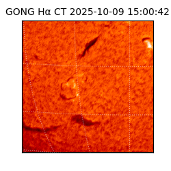 gong - 2025-10-09T15:00:42