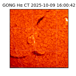 gong - 2025-10-09T16:00:42