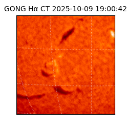 gong - 2025-10-09T19:00:42