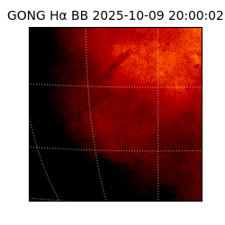 gong - 2025-10-09T20:00:02
