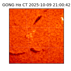 gong - 2025-10-09T21:00:42