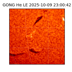 gong - 2025-10-09T23:00:42