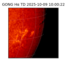 gong - 2025-10-09T10:00:22