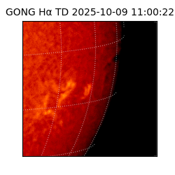 gong - 2025-10-09T11:00:22