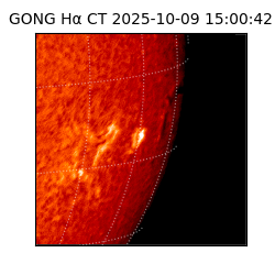 gong - 2025-10-09T15:00:42