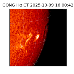 gong - 2025-10-09T16:00:42