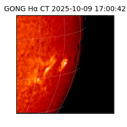 gong - 2025-10-09T17:00:42