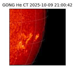 gong - 2025-10-09T21:00:42
