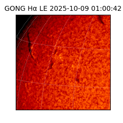 gong - 2025-10-09T01:00:42