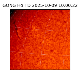 gong - 2025-10-09T10:00:22