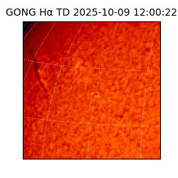 gong - 2025-10-09T12:00:22