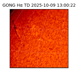 gong - 2025-10-09T13:00:22