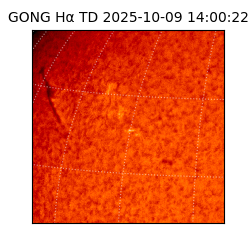 gong - 2025-10-09T14:00:22