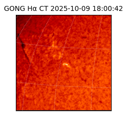 gong - 2025-10-09T18:00:42