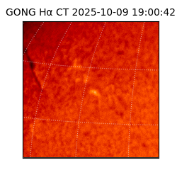 gong - 2025-10-09T19:00:42