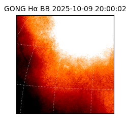 gong - 2025-10-09T20:00:02