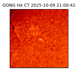 gong - 2025-10-09T21:00:42