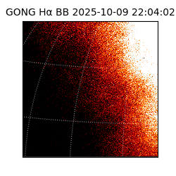 gong - 2025-10-09T22:04:02