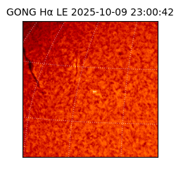 gong - 2025-10-09T23:00:42